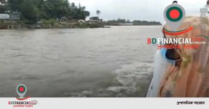 মুন্সিগঞ্জে পদ্মানদীর ভাঙন পরিদর্শন করেন মাননীয় সংসদ সদস্য অধ্যাপিকা সাগুফতা ইয়াসমিন এমিলি